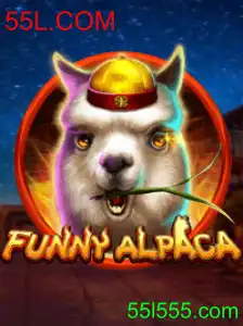 Desvendando o Mundo de FunnyAlpaca